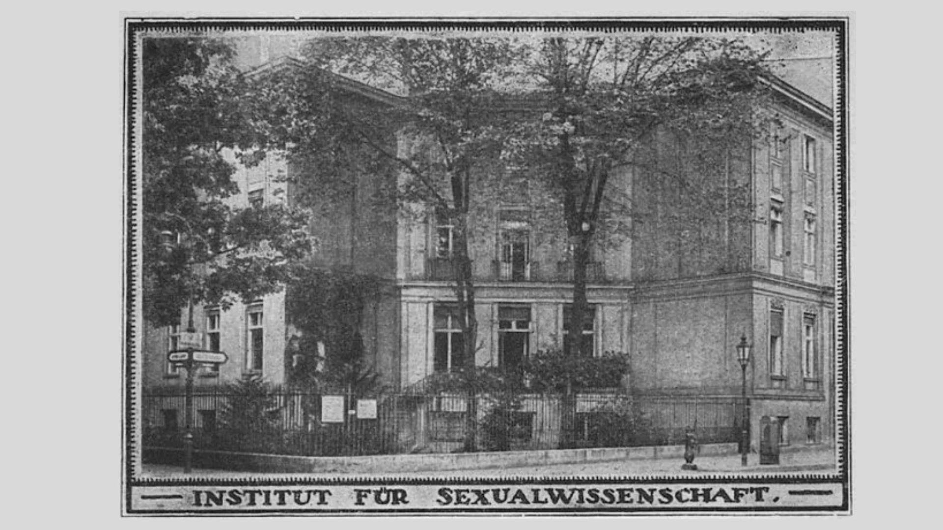  Институт сексуальных наук в Берлине, 1919 год 