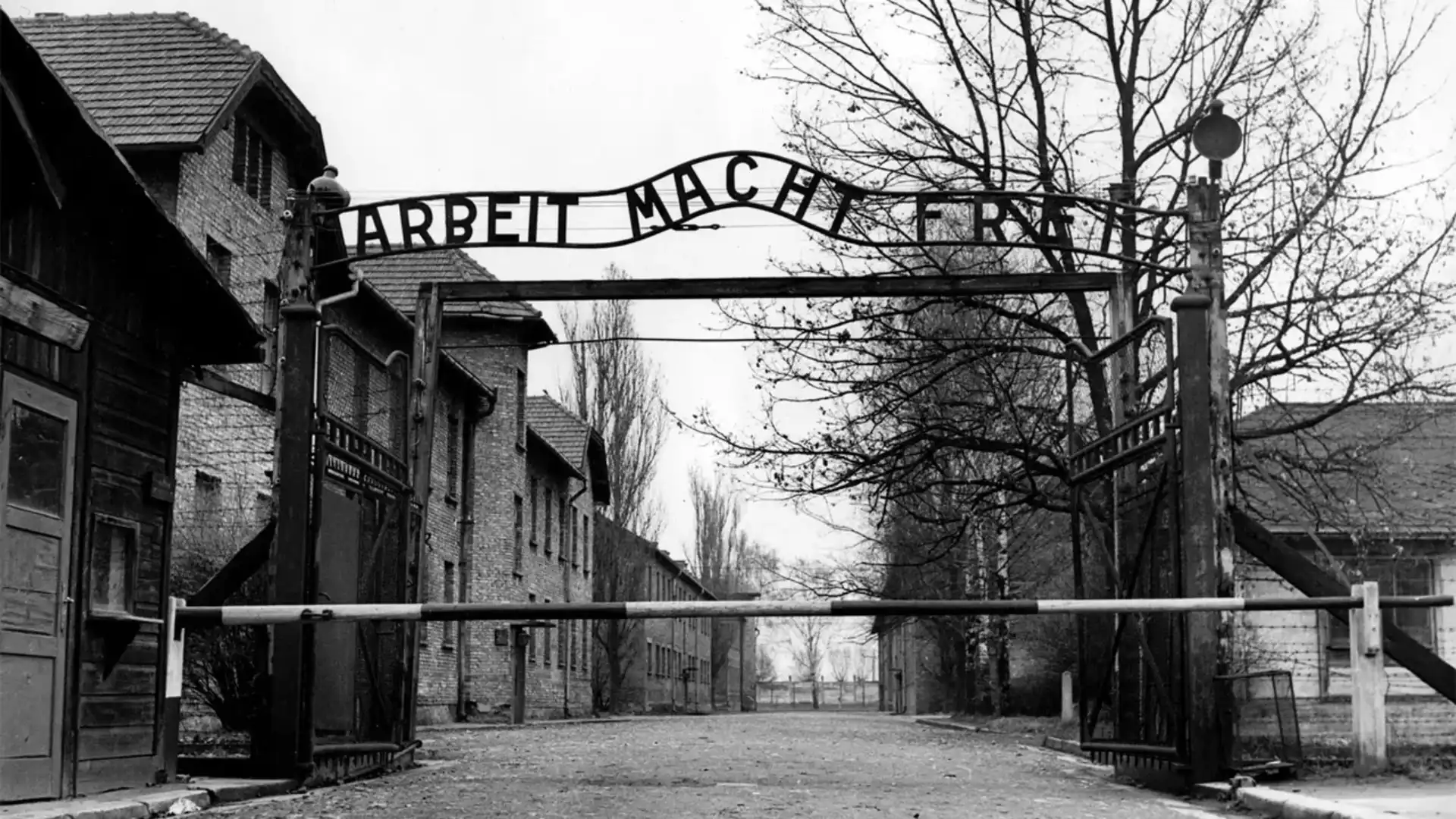  Аушвиц-Биркенау. Самый крупный из нацистских концентрационных лагерей и центров уничтожения. Здесь погибло более 1,1 миллиона человек 